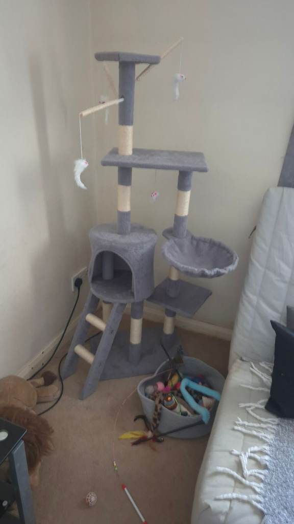 Grey multi-level cat tree with scratching posts and bed