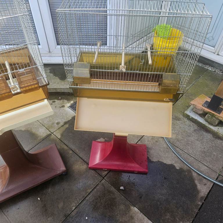 Bird Cages