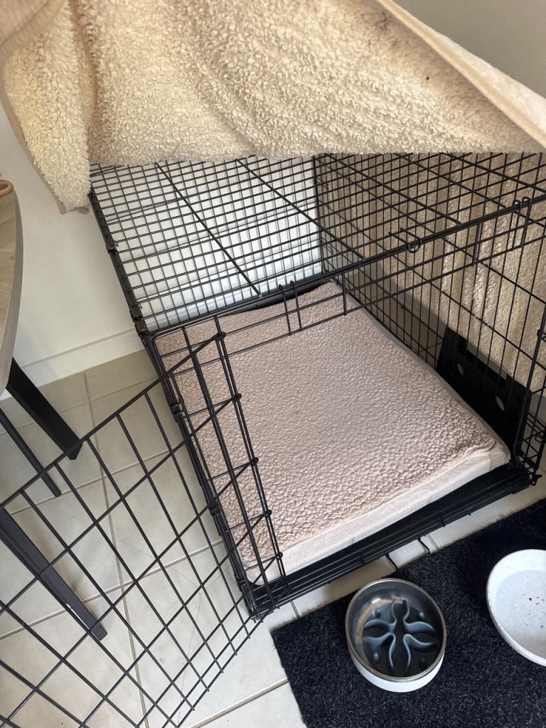 Pets at Home large dog crate 