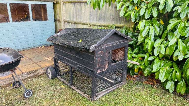 Rabbit Hutch