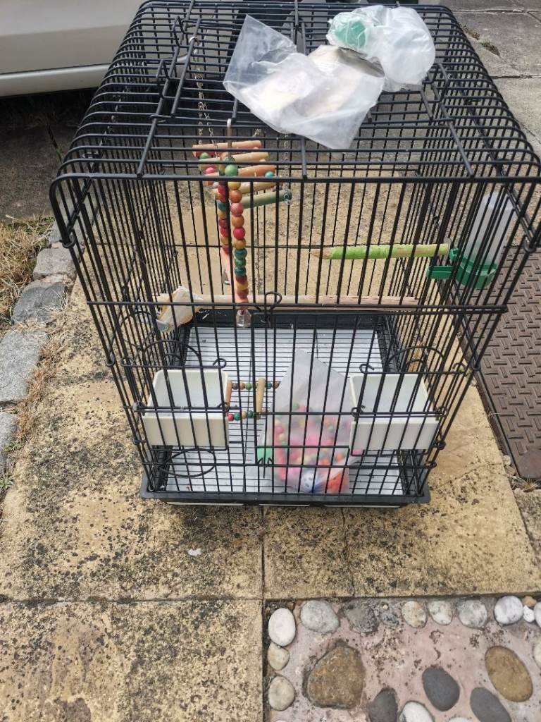 Budgie/parrot cage with extras! 