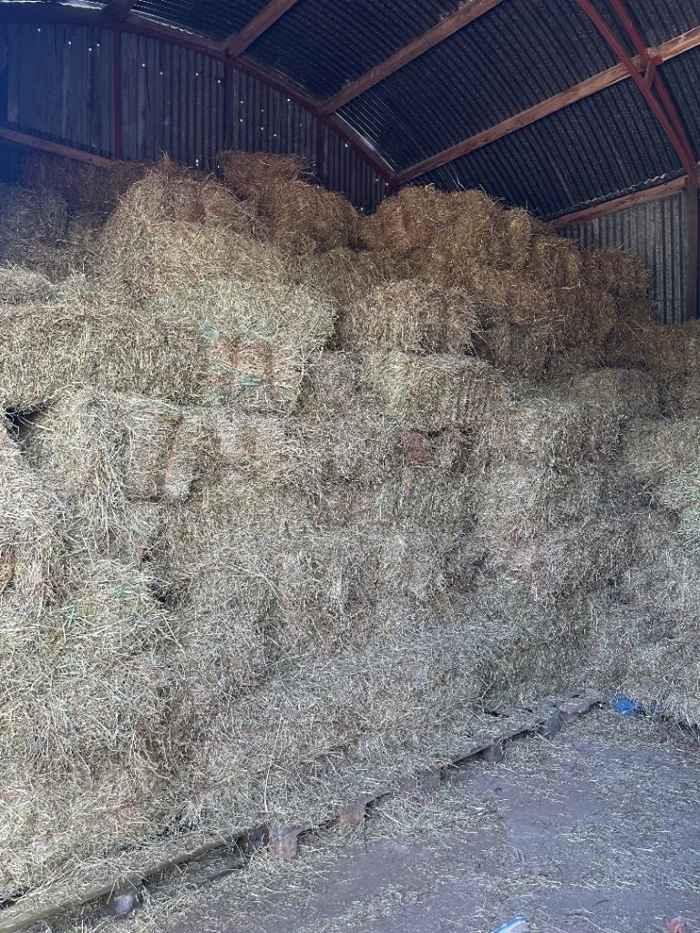 Small bale hay for sale 