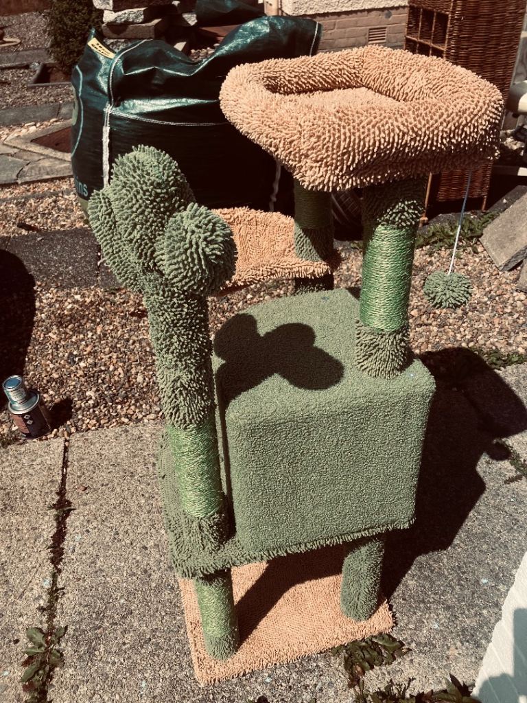🌵 cactus shapedd🌵Cat Tree🌵 