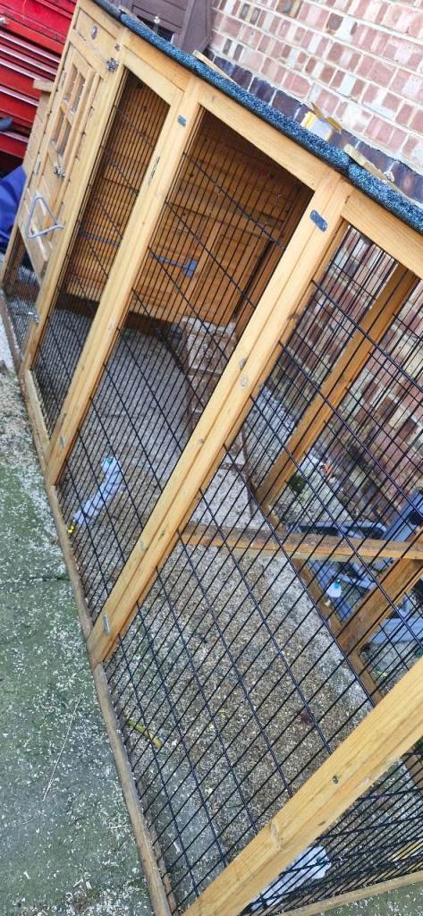 Chicken coop with nesting box and run