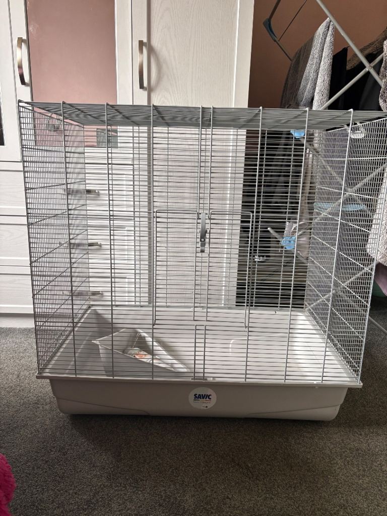 Rat cage 