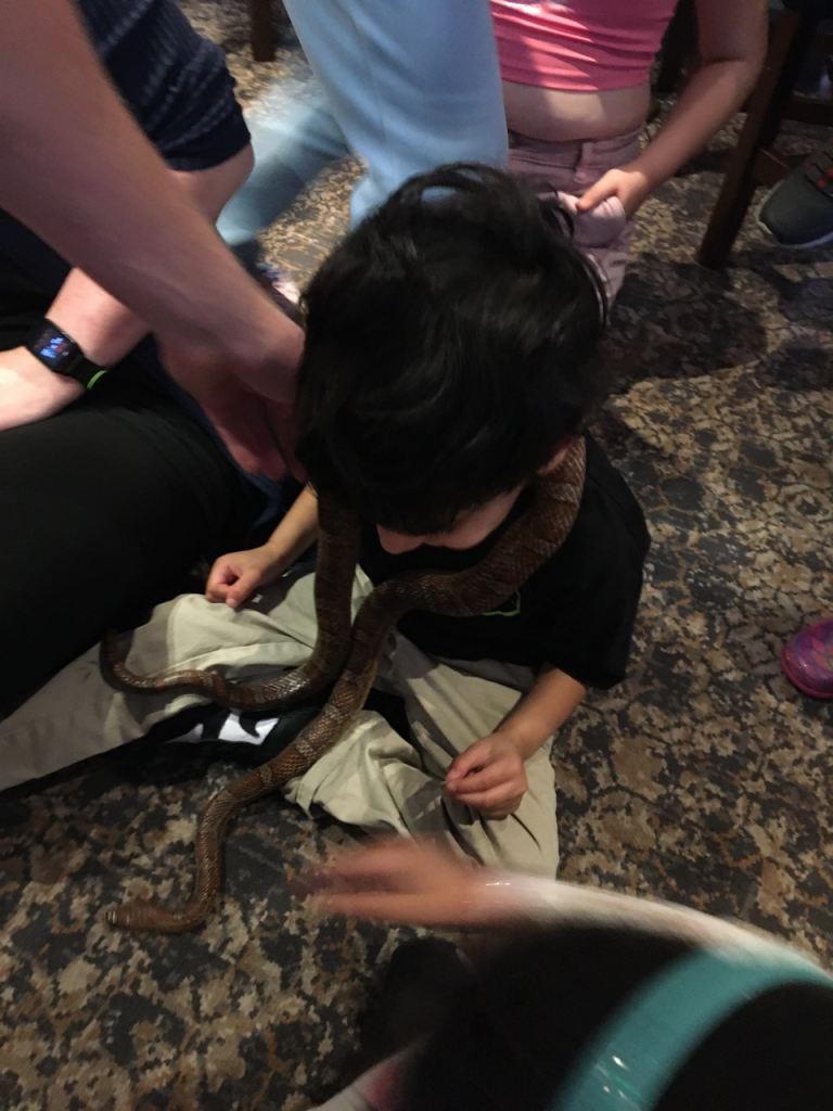 Fiat, DUCATO, Panel Van, 2016, Manual, 1956 (cc)