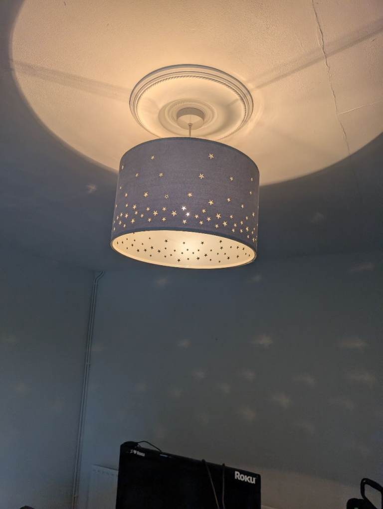 Large light shade
