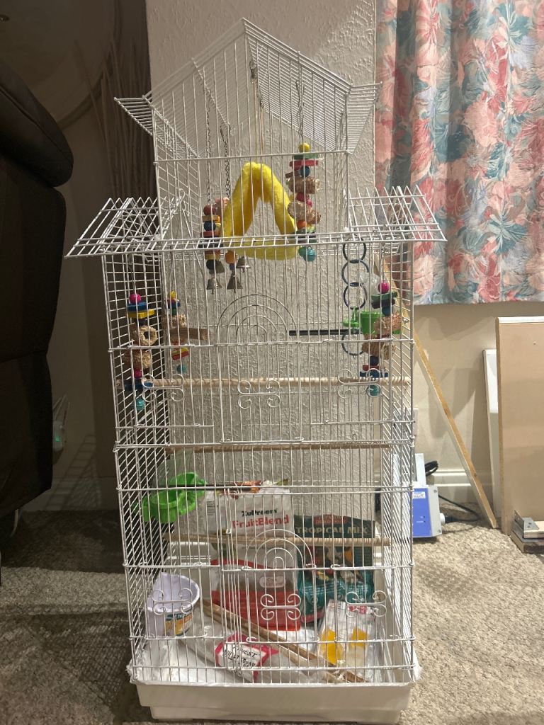 Bird cage white with accessories 