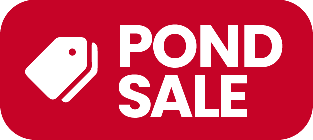 Koi pond sale