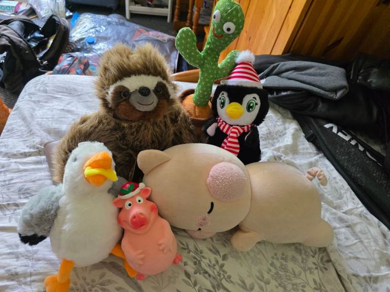 CLEARANCE 6 kids toys stuffed and voice recognised cactus 