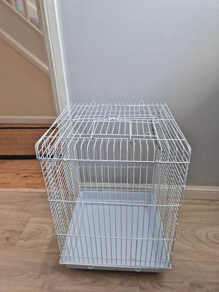 Budgie Cage