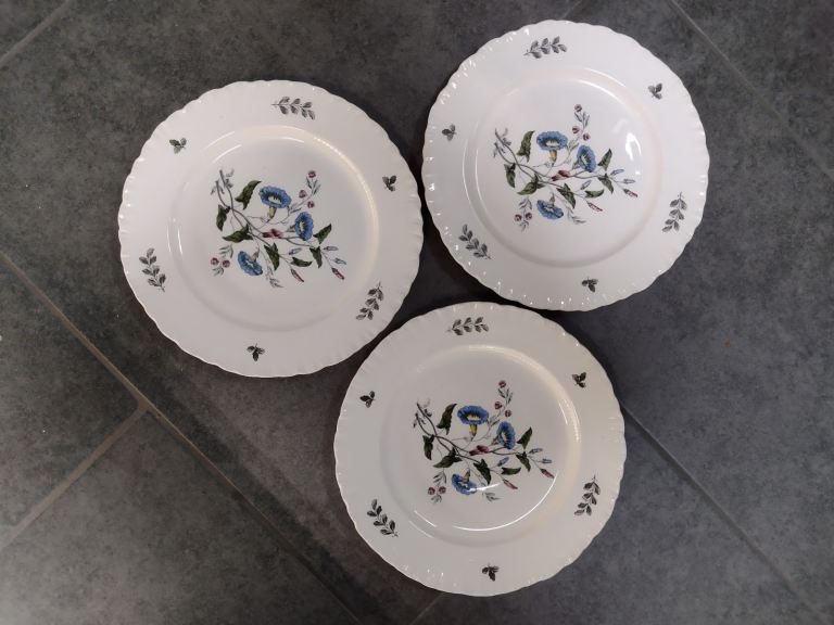 Wedgwood Williamsburg Wild Flowers dinner plates in beautiful condition