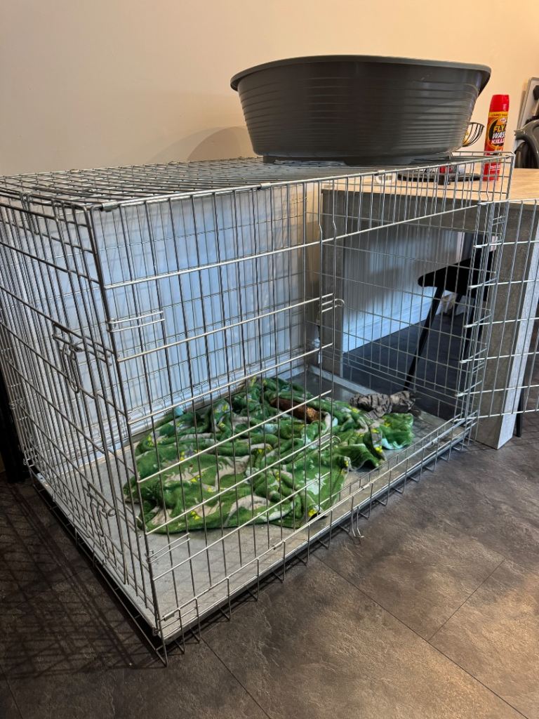 Dog Crate
