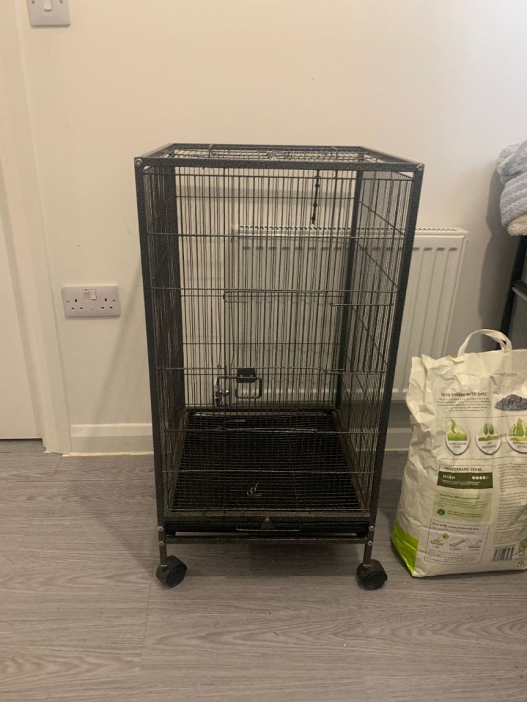 Bird cage 