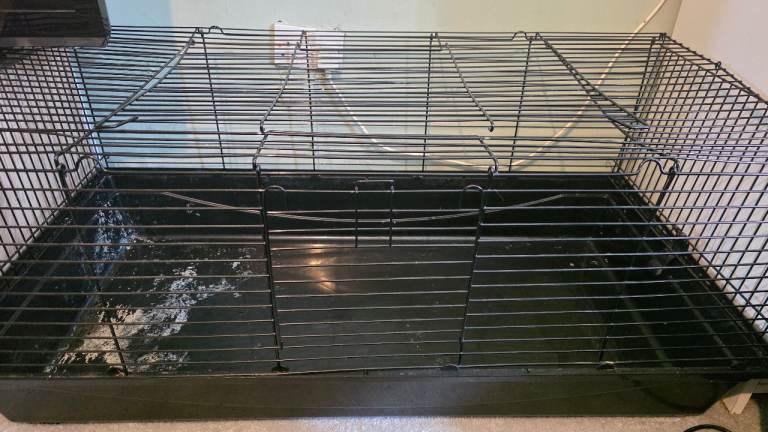 Rabbit cage 