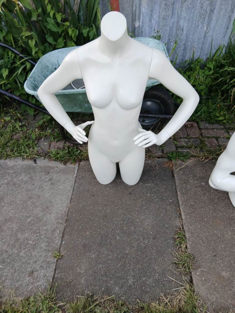 Mannequin Torso Displays – White, Good Condition