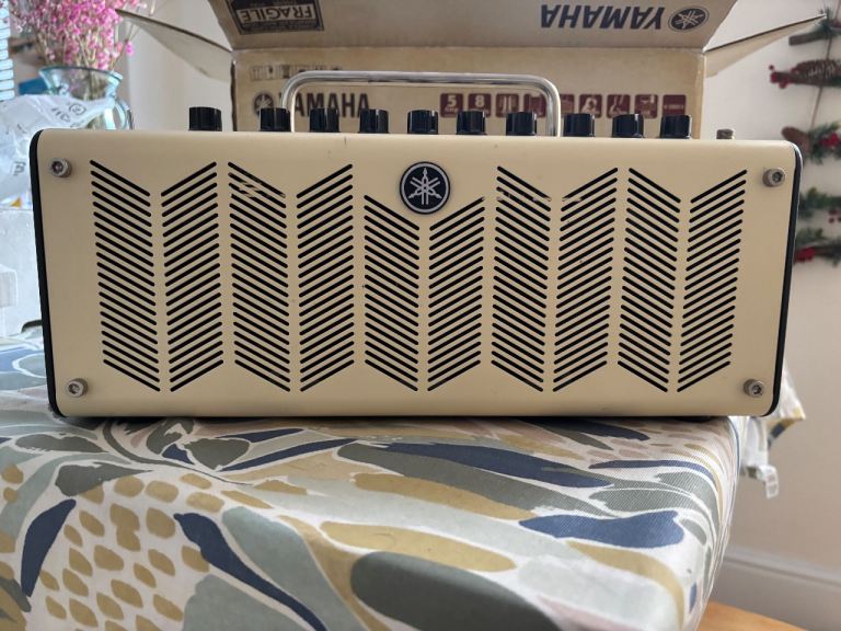 Electric Guitar PRS SE Zach Myers Inc PRS Gig Bag and Yamaha THR10 Amp