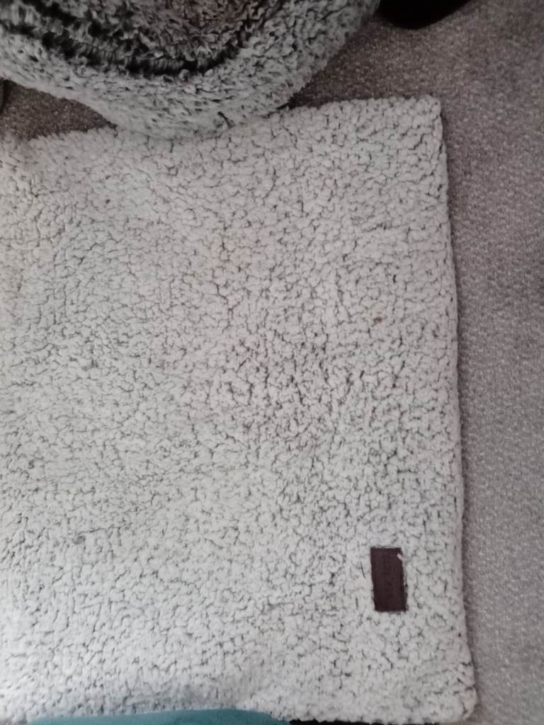 2 cat beds and cosy mat