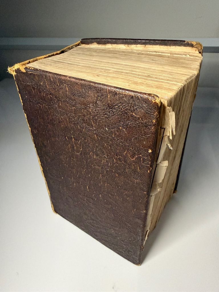 1891 Mrs Beeton Book of Household Management Antique Leather Colour Plates