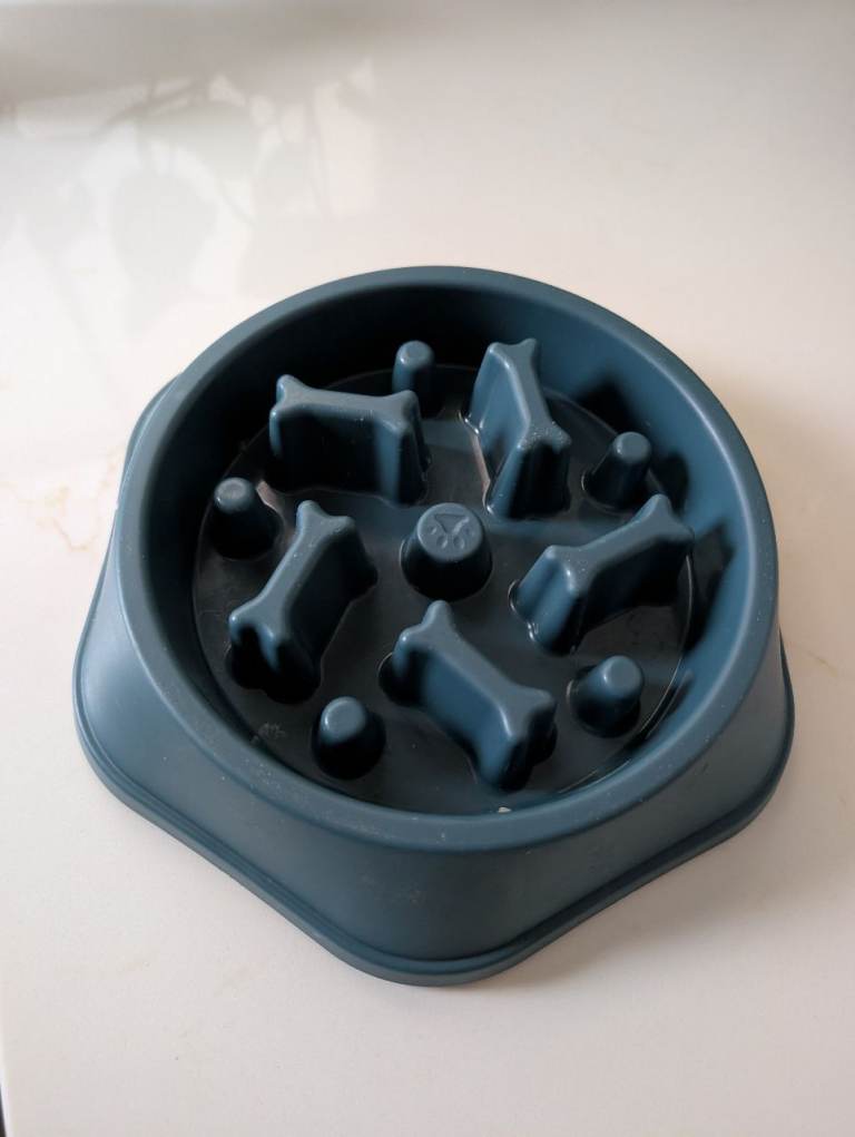 FREE dog puzzle bowl