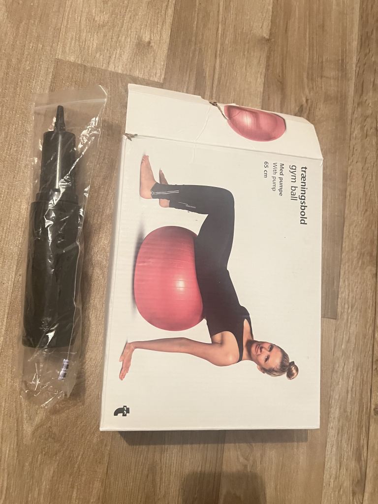 Gym ball with pump 