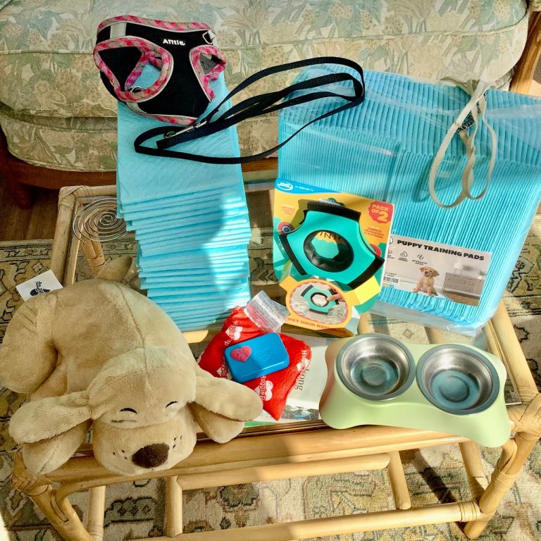 Bundle for New Puppy