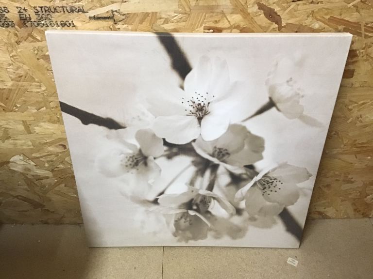 3 canvas pictures