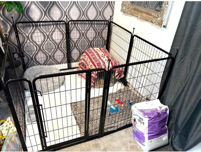 Dog pen