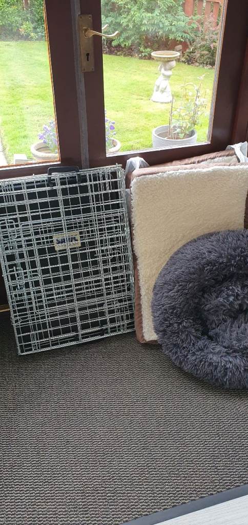 Two Savic Crate