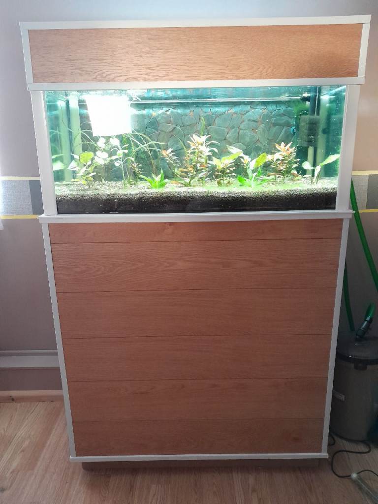 Fish tank with stand