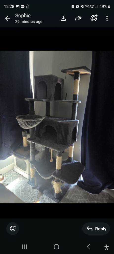 Grey free cat tree used