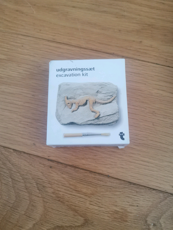 Childrens dinosaur excavation kit