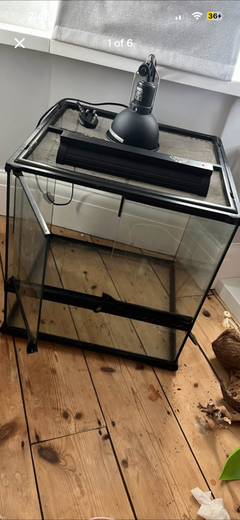 Reptile tank