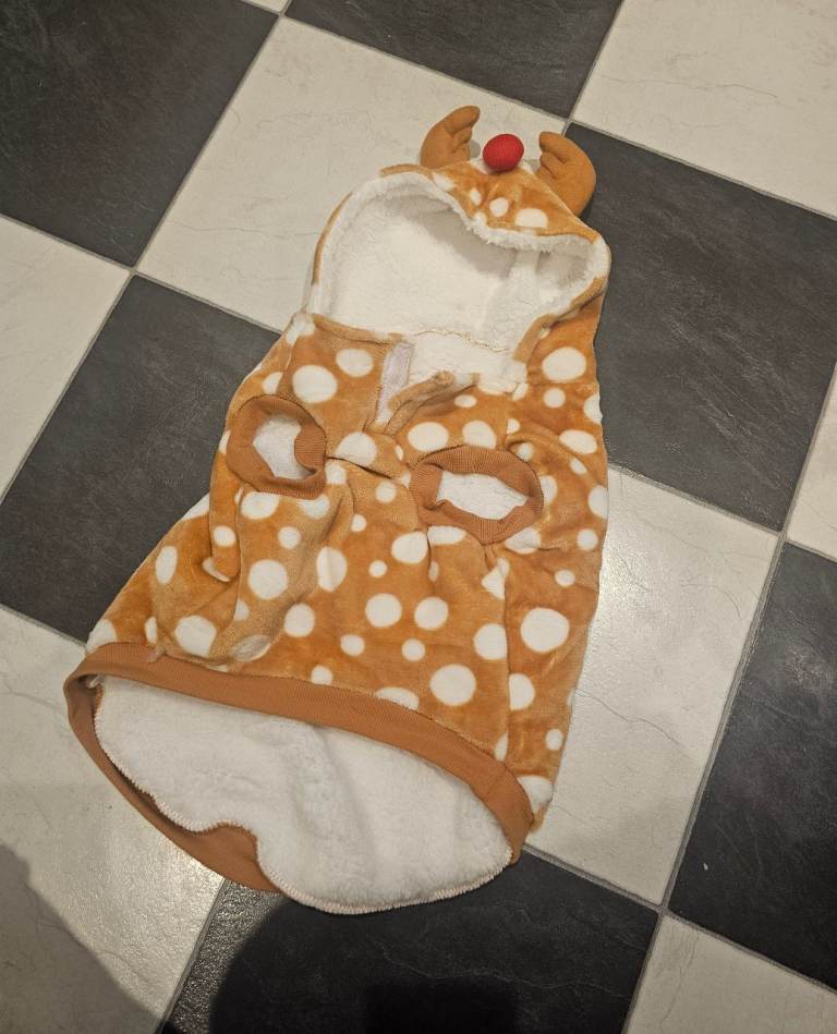 Dog Reindeer Outfit