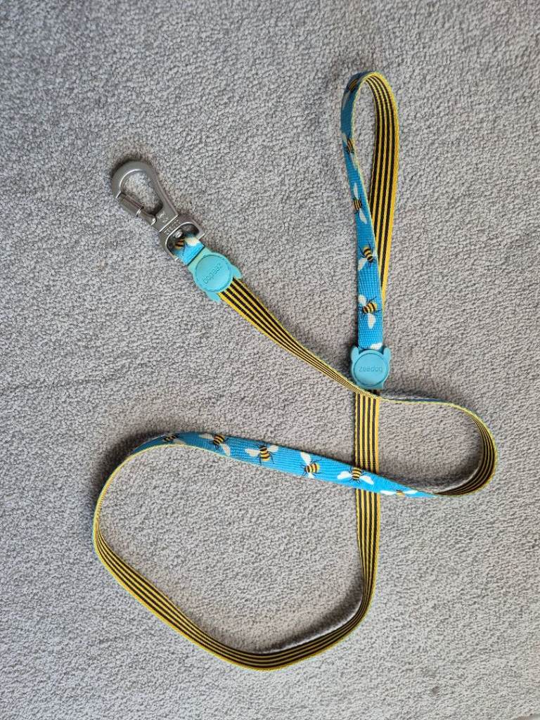 Dog lead and coat.