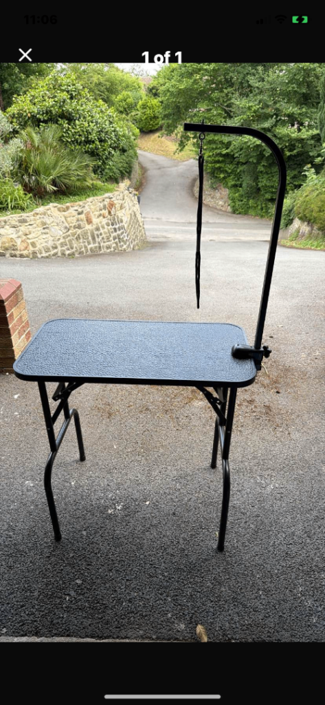 Pet groom table 