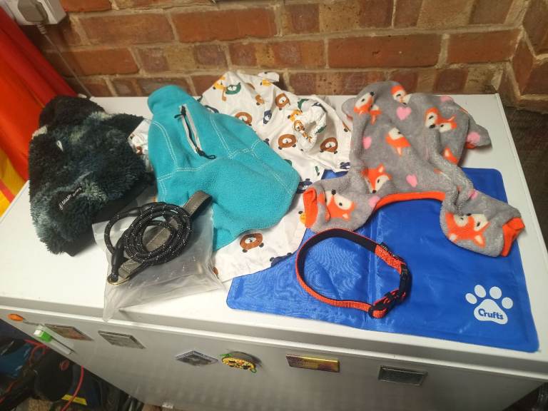 Bargain Bundle of Assorted Small Dog Accessories