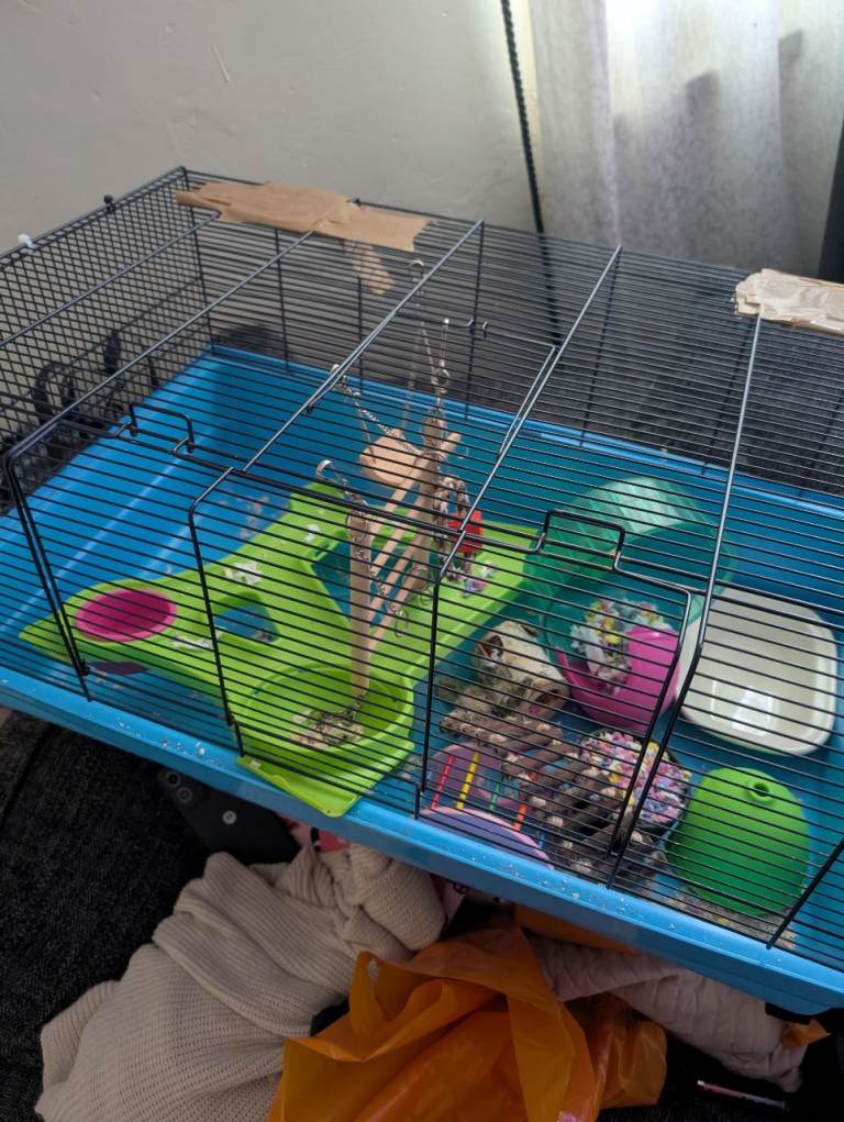 Hamster cage and toys 