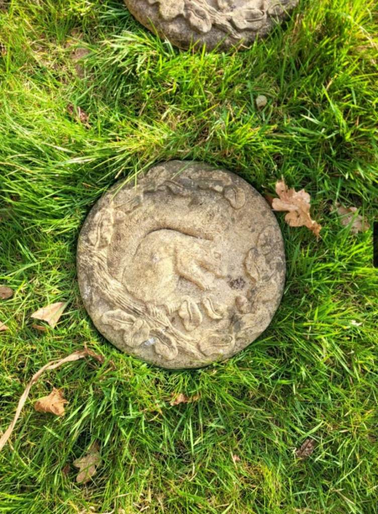 * 10 x RARE * SQUIRREL * QUALITY STEPPING STONES - ORNAMENT PAVING  GARDEN PATIO DECORATION