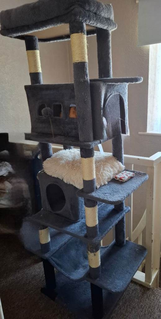 Cat tree 170cm