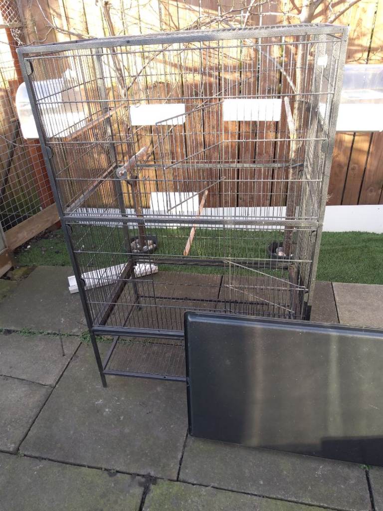 Bird cage 