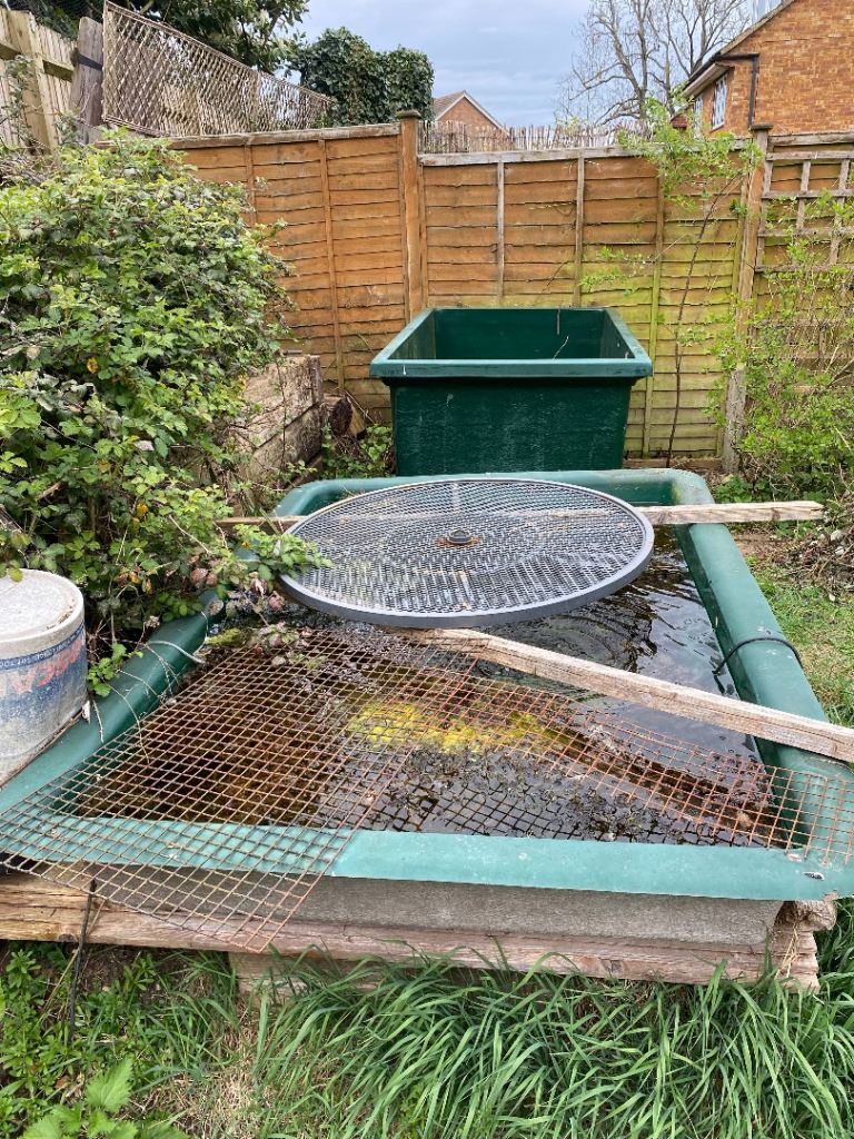 Garden Fish Pond