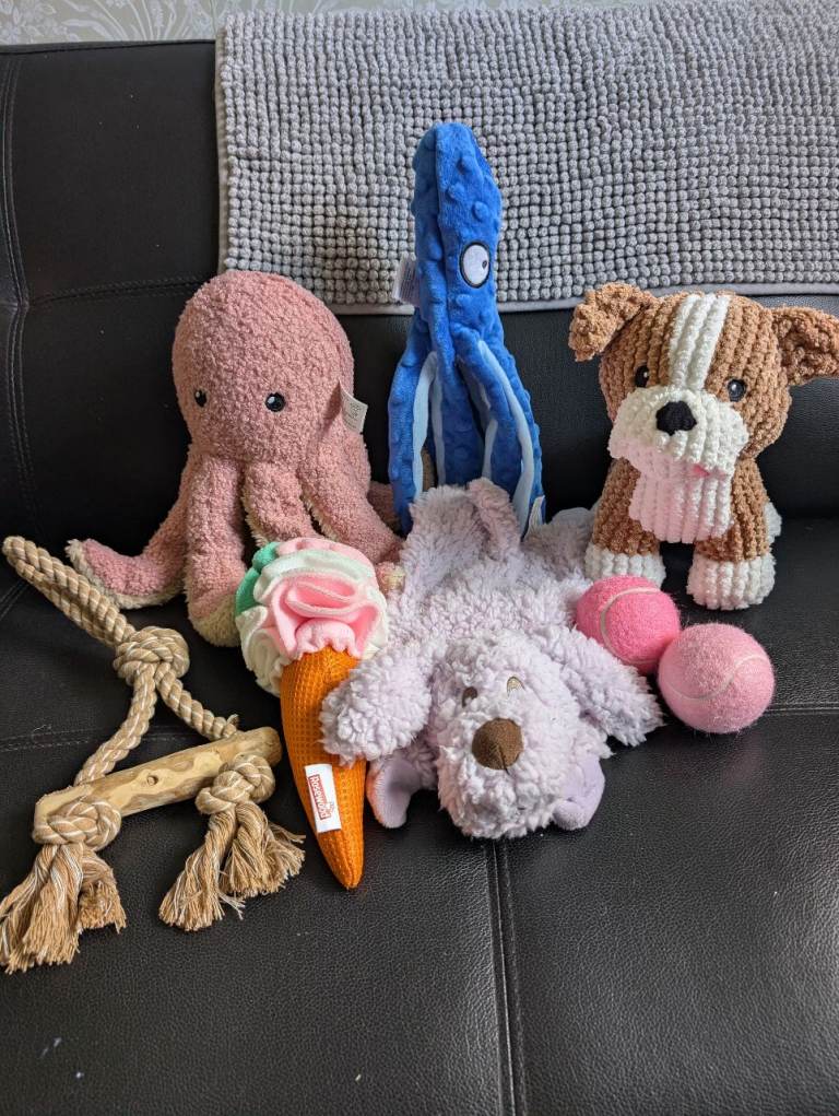 Dog toy assortment 