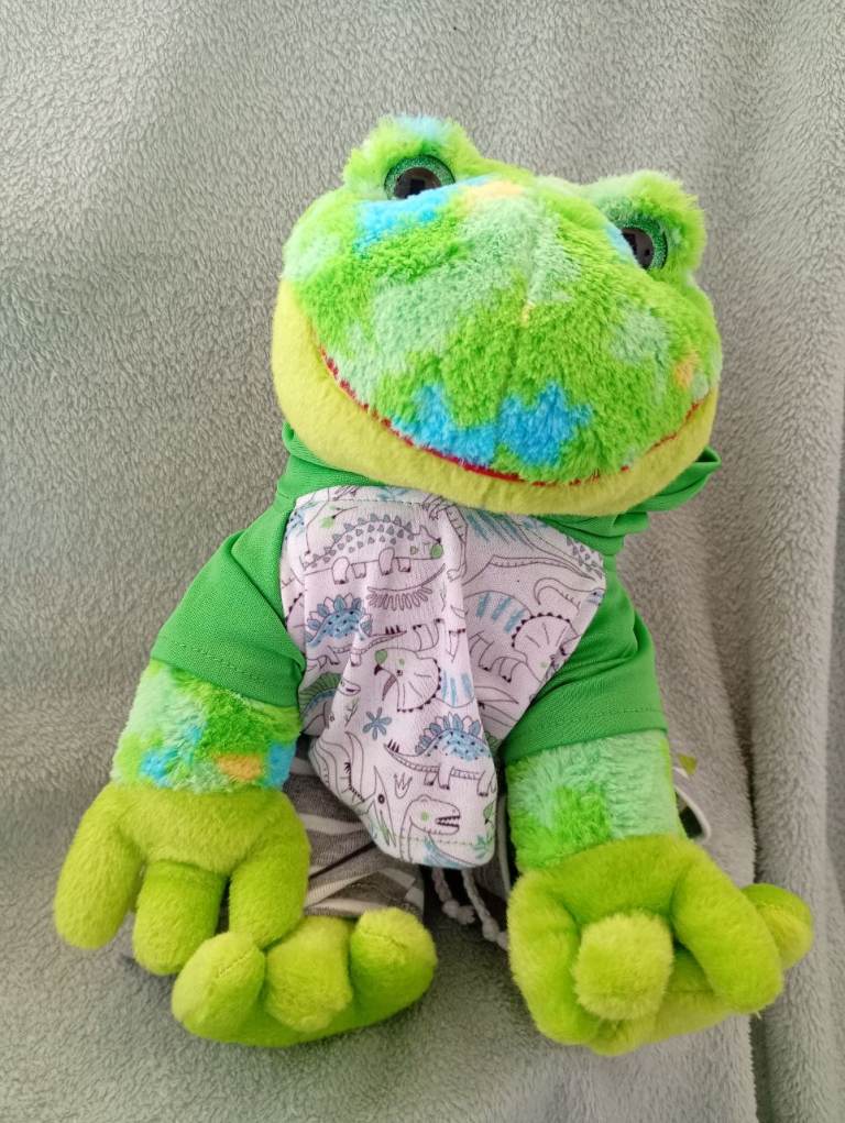Frog teddy 