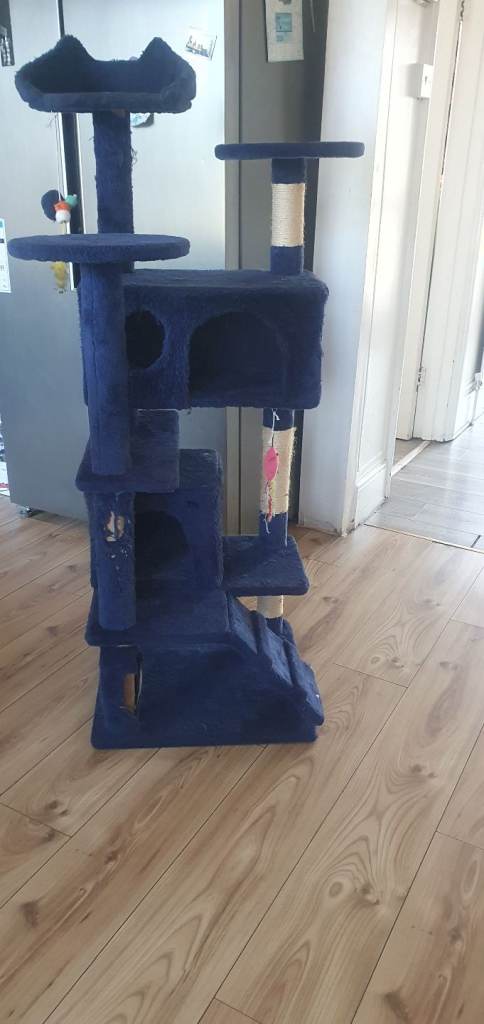 Cat House 