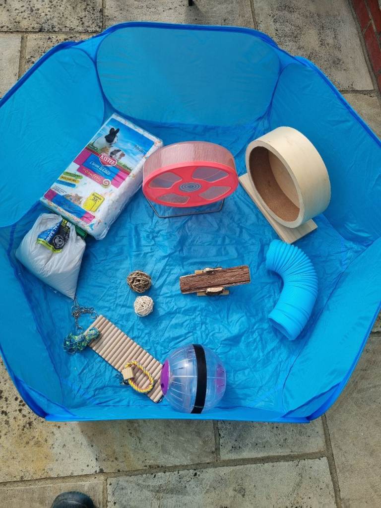 Many hamster accessories 