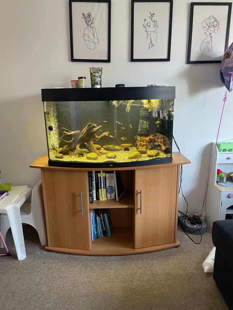 180L juwel fish tank