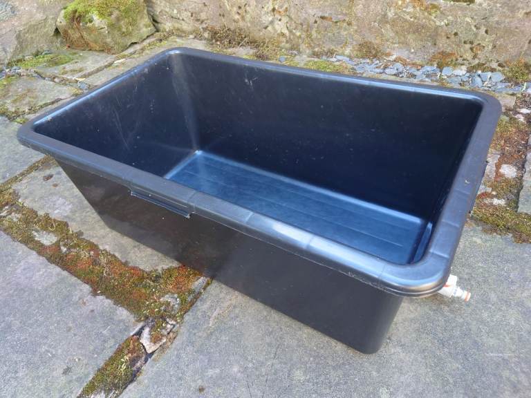 Pet bath free