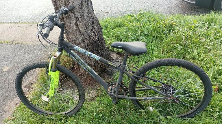 24" Apollo Gridlok MTB