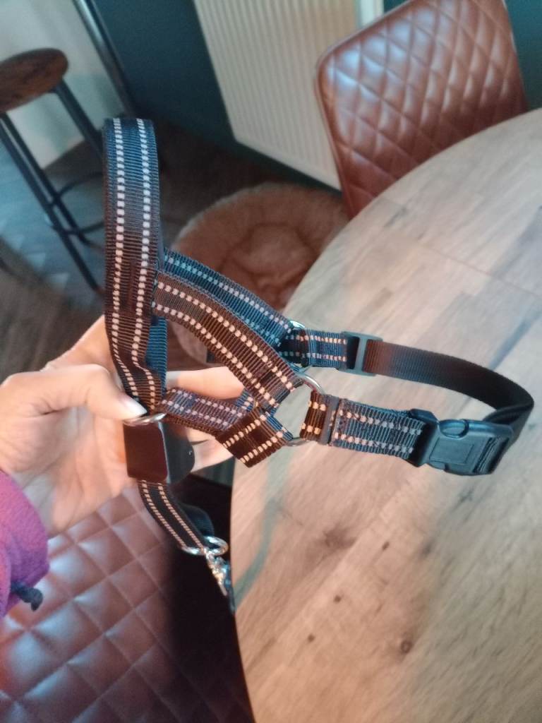 Mayerzon Dog Head Collar